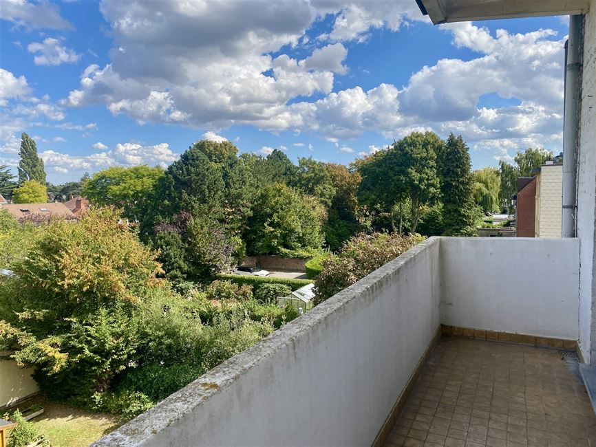 WSP: Bel Appart traversant 2CH et terrasse