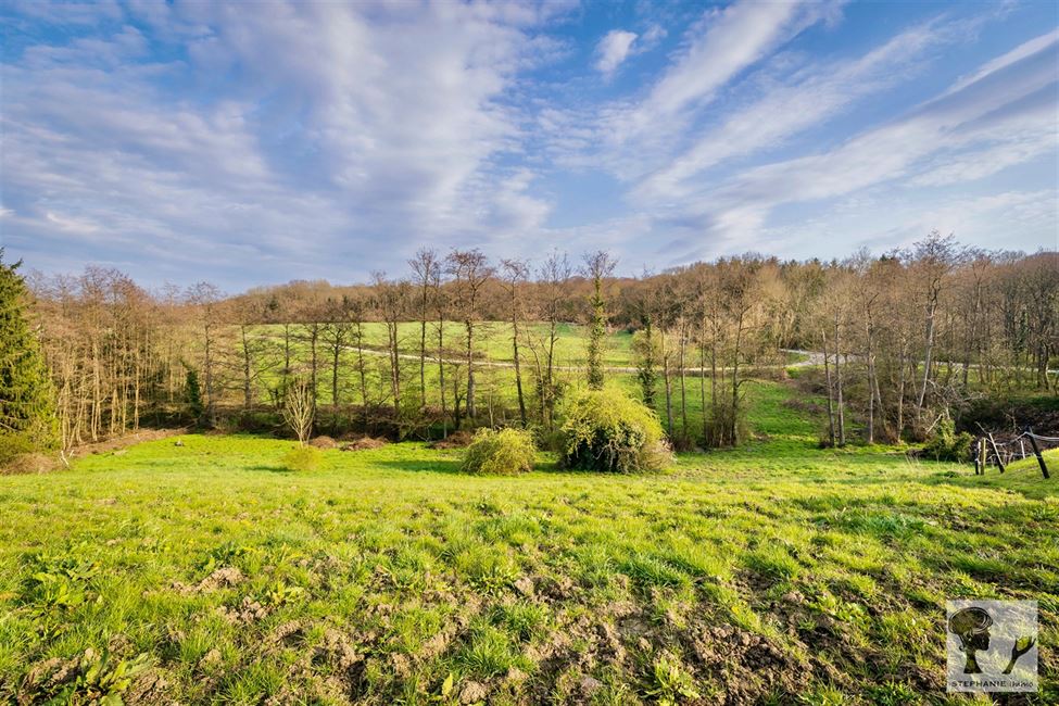 Terrain - À vendre - 5340 Gesves