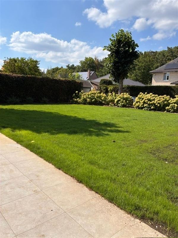 Foto 12 : Villa te 2930 Brasschaat (België) - Prijs € 3.300