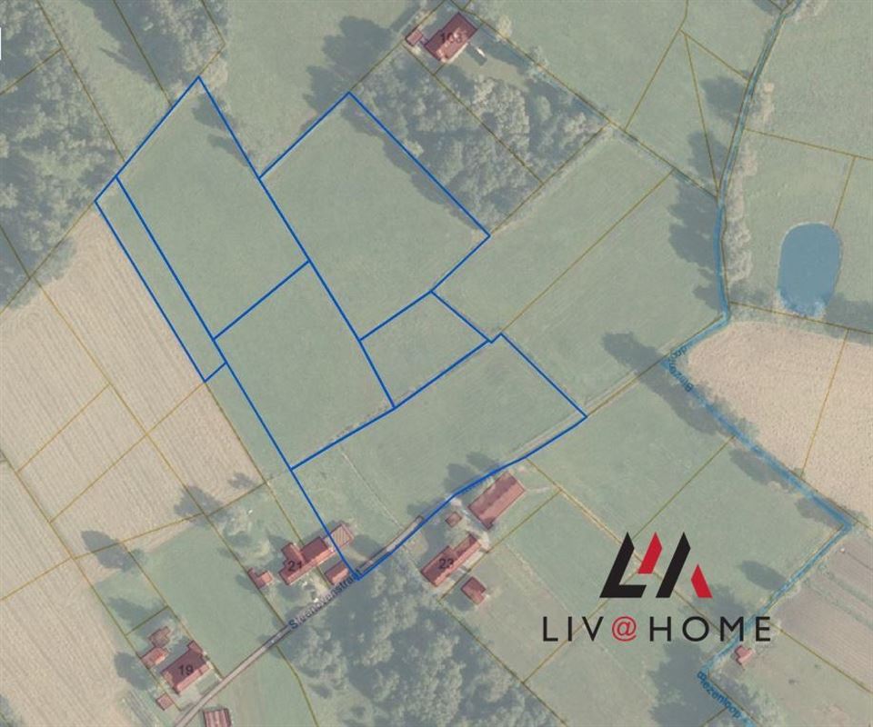 Foto 3 : Landbouwgrond te 2580 PUTTE (België) - Prijs € 330.000
