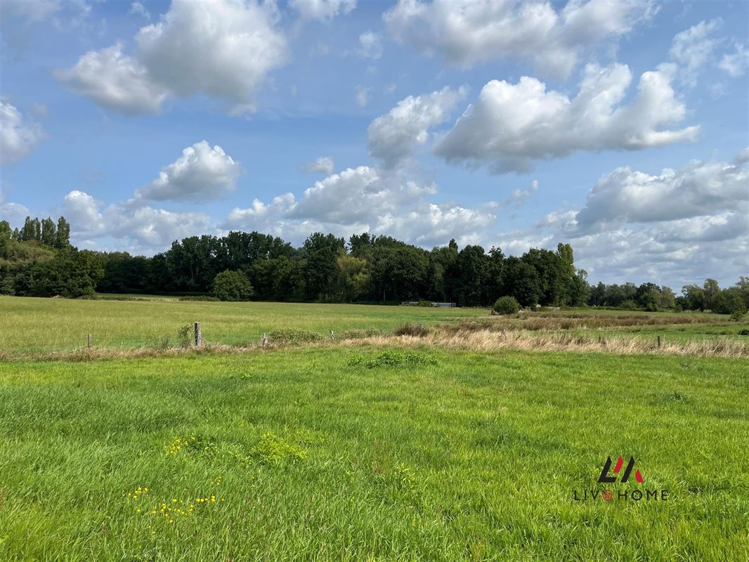 Foto 2 : Landbouwgrond te 2580 PUTTE (België) - Prijs € 330.000