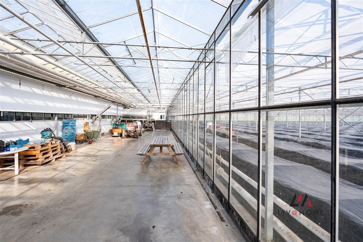 Foto 28 : Landelijke woning te 2500 KONINGSHOOIKT (België) - Prijs € 1.950.000