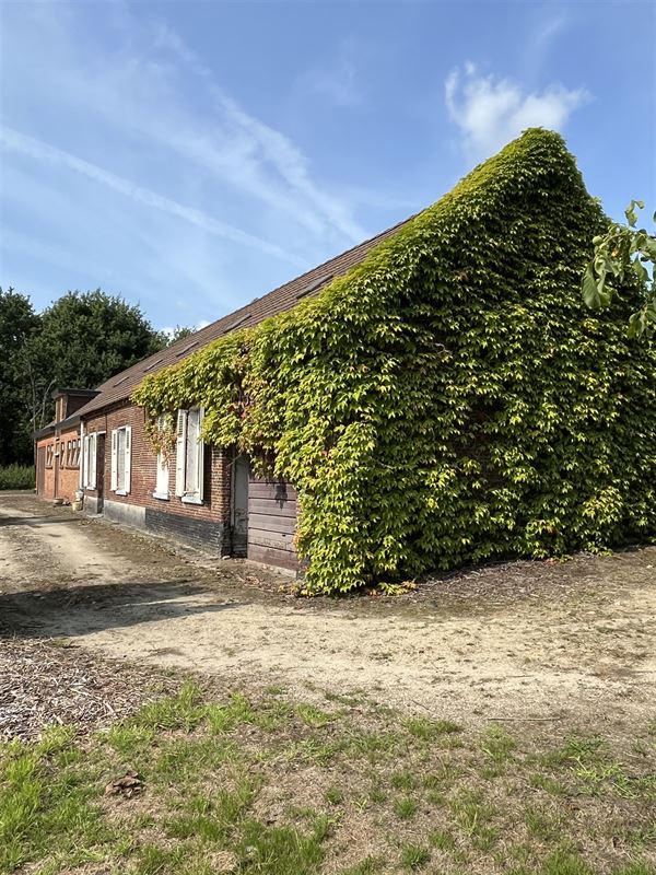 Foto 2 : Boerderij te 2580 PUTTE (België) - Prijs € 700.000