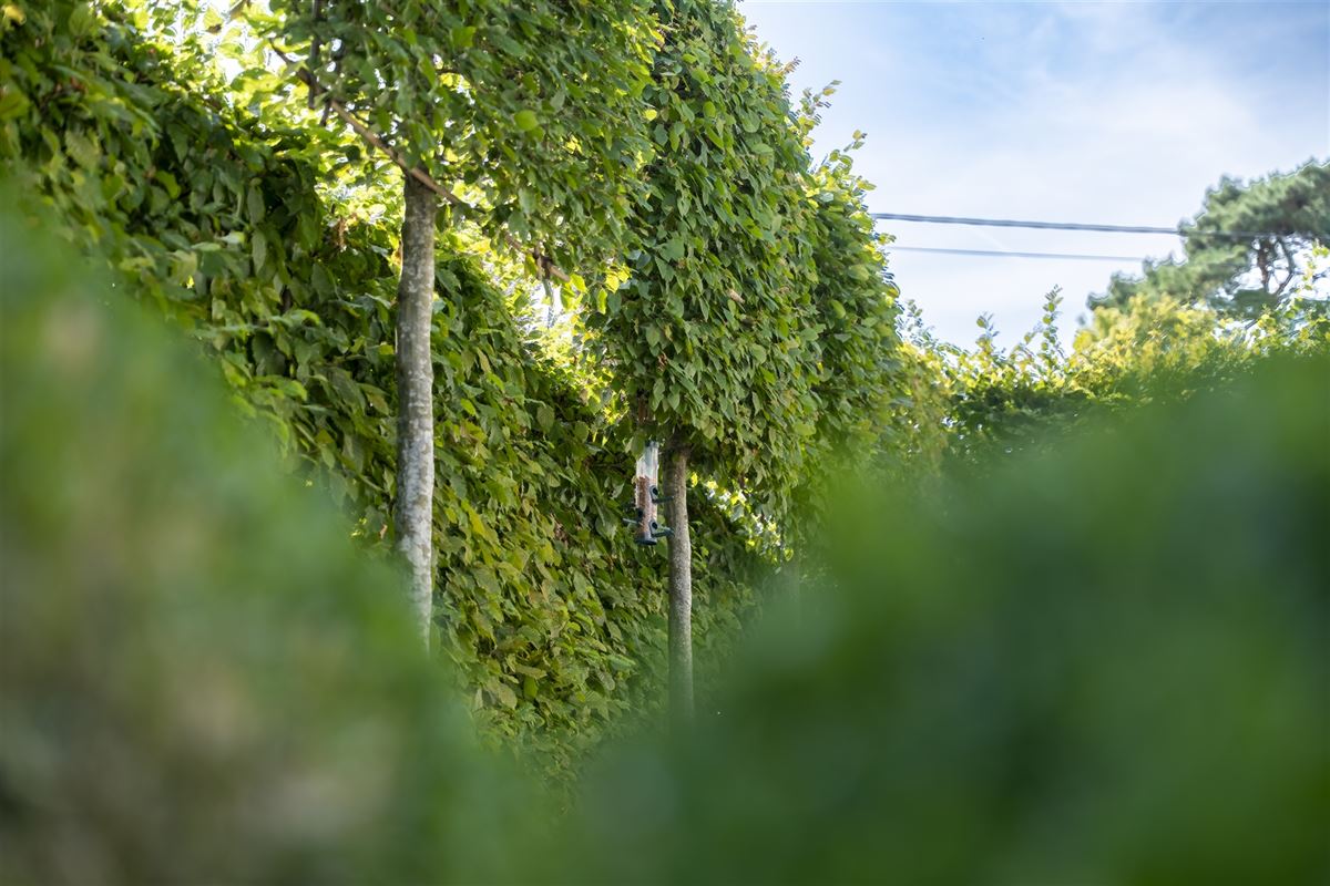 Villa de charme et élégante à la campagne