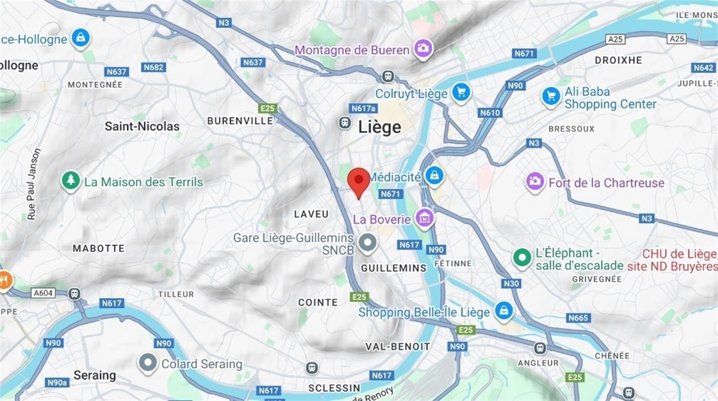 Image 23 : Appartement à 4000 LIÈGE (Belgique) - Prix 950 €