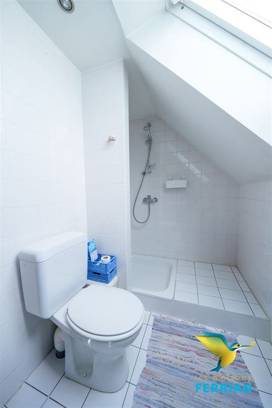Maison à WATERMAEL-BOITSFORT (4 chambres)