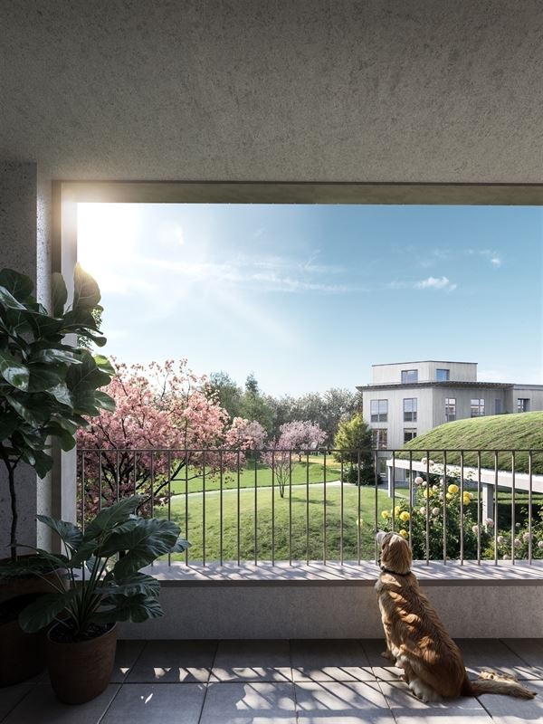 Huis met tuin en terras
