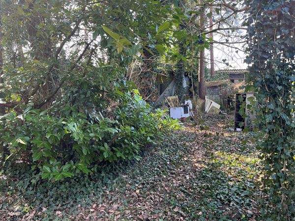 Grond met vervallen chalet - 558 m²