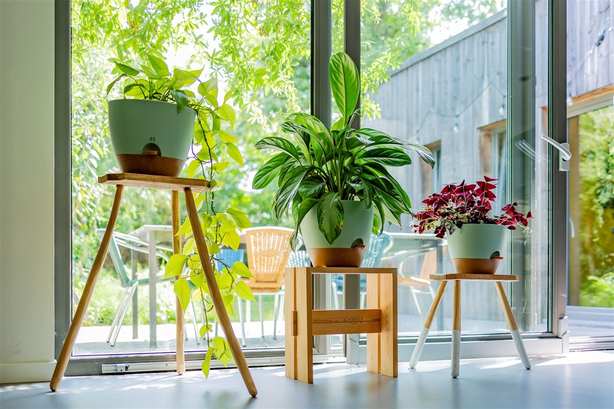 Uniek huis met winkel, atelier of bureel 