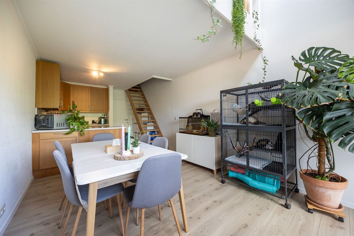 Appartement op toplocatie met terras in Mechelen