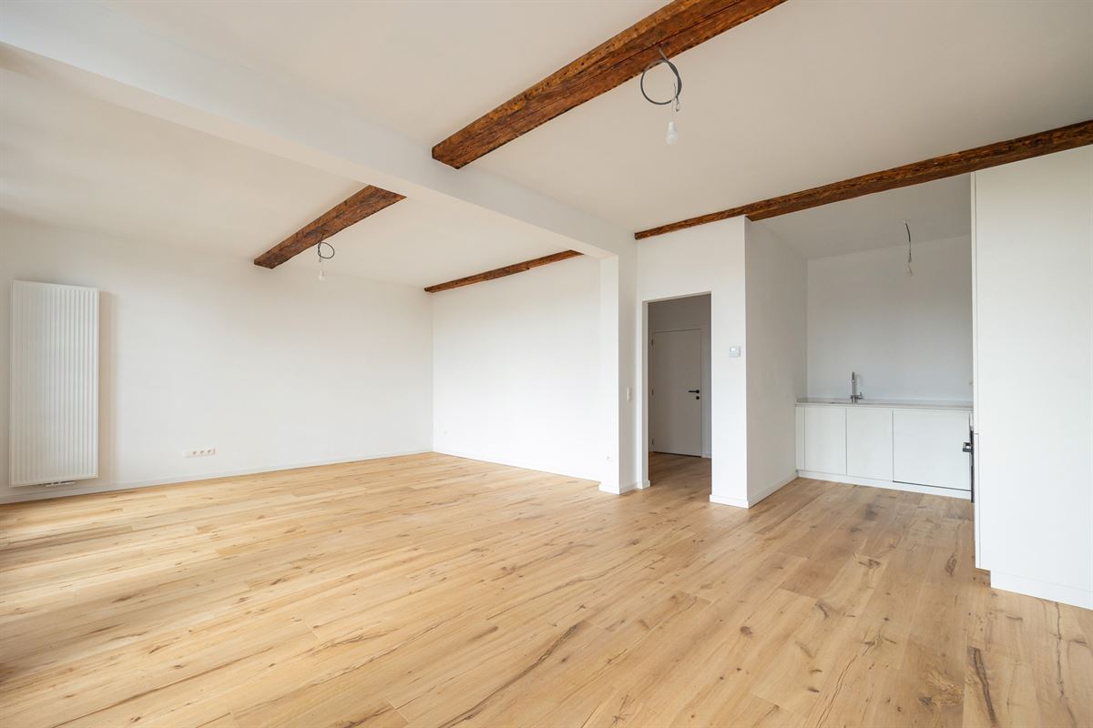 Gerenoveerd appartement met zonovergoten dakterras op toplocatie in Lier