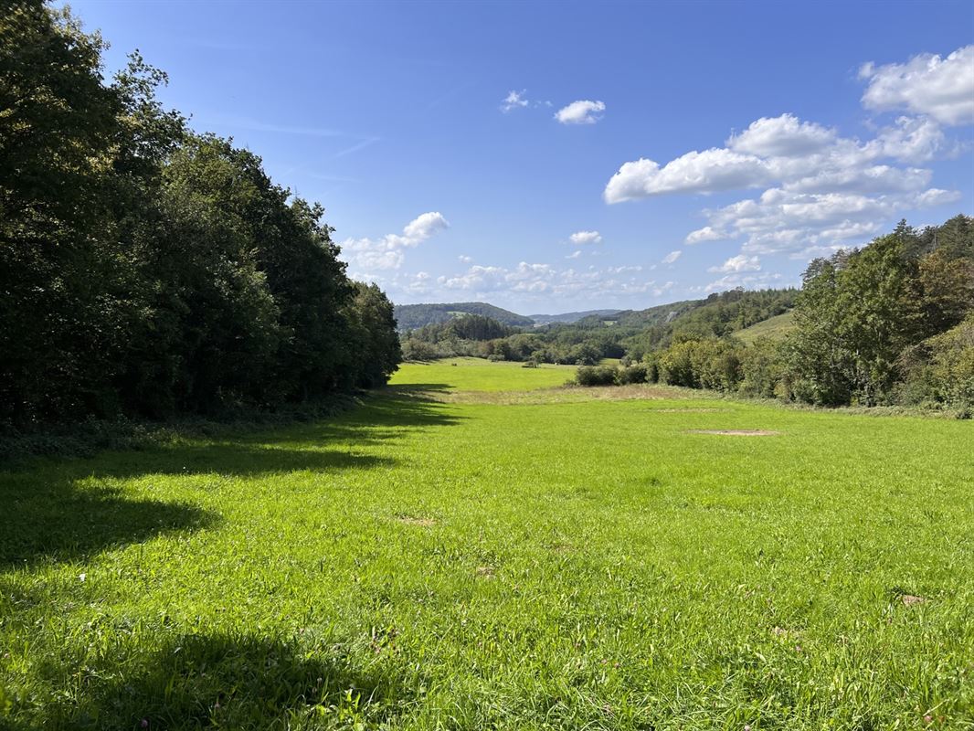Terrain agricole - À vendre - 5580 Belvaux 