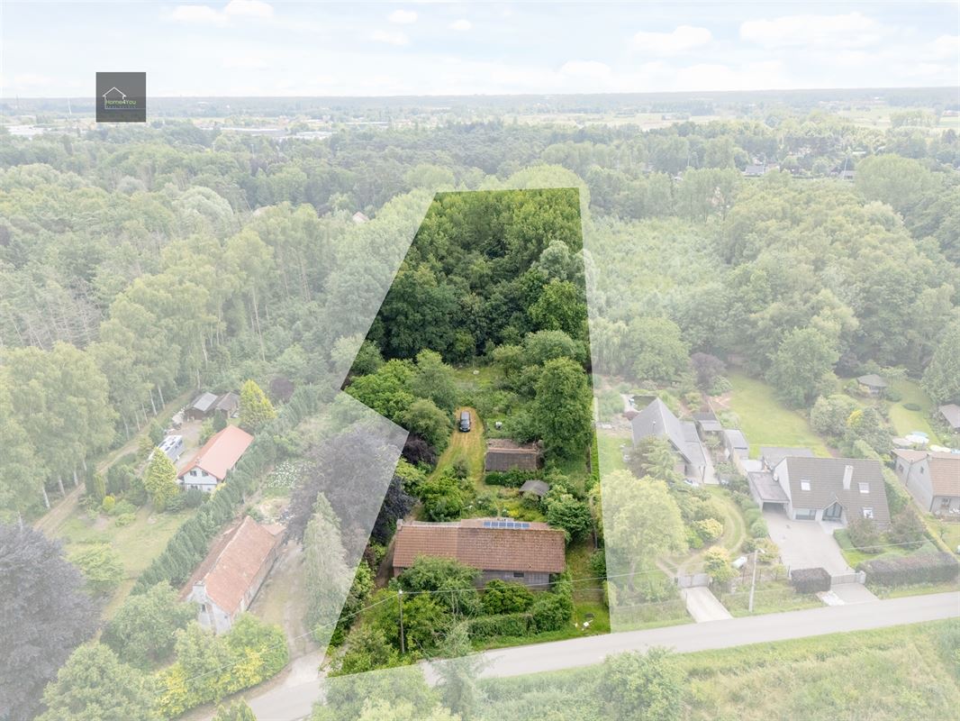 Wonen in het hart van de natuur – Alleenstaande villa op 8000 m² bosrijk domein in Stekene