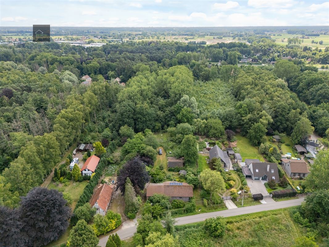 Wonen in het hart van de natuur – Alleenstaande villa op 8000 m² bosrijk domein in Stekene