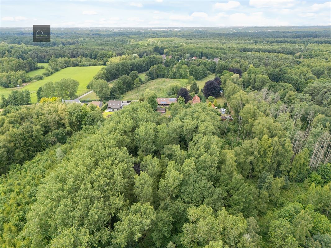 Wonen in het hart van de natuur – Alleenstaande villa op 8000 m² bosrijk domein in Stekene