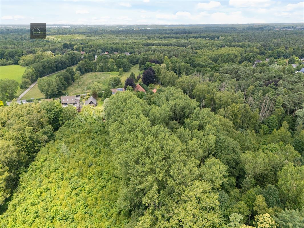 Wonen in het hart van de natuur – Alleenstaande villa op 8000 m² bosrijk domein in Stekene