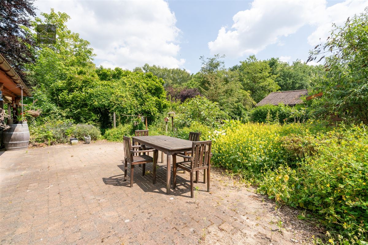 Wonen in het hart van de natuur – Alleenstaande villa op 8000 m² bosrijk domein in Stekene