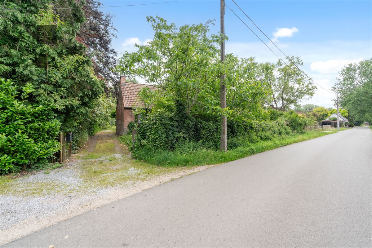 Wonen in het hart van de natuur – Alleenstaande villa op 8000 m² bosrijk domein in Stekene