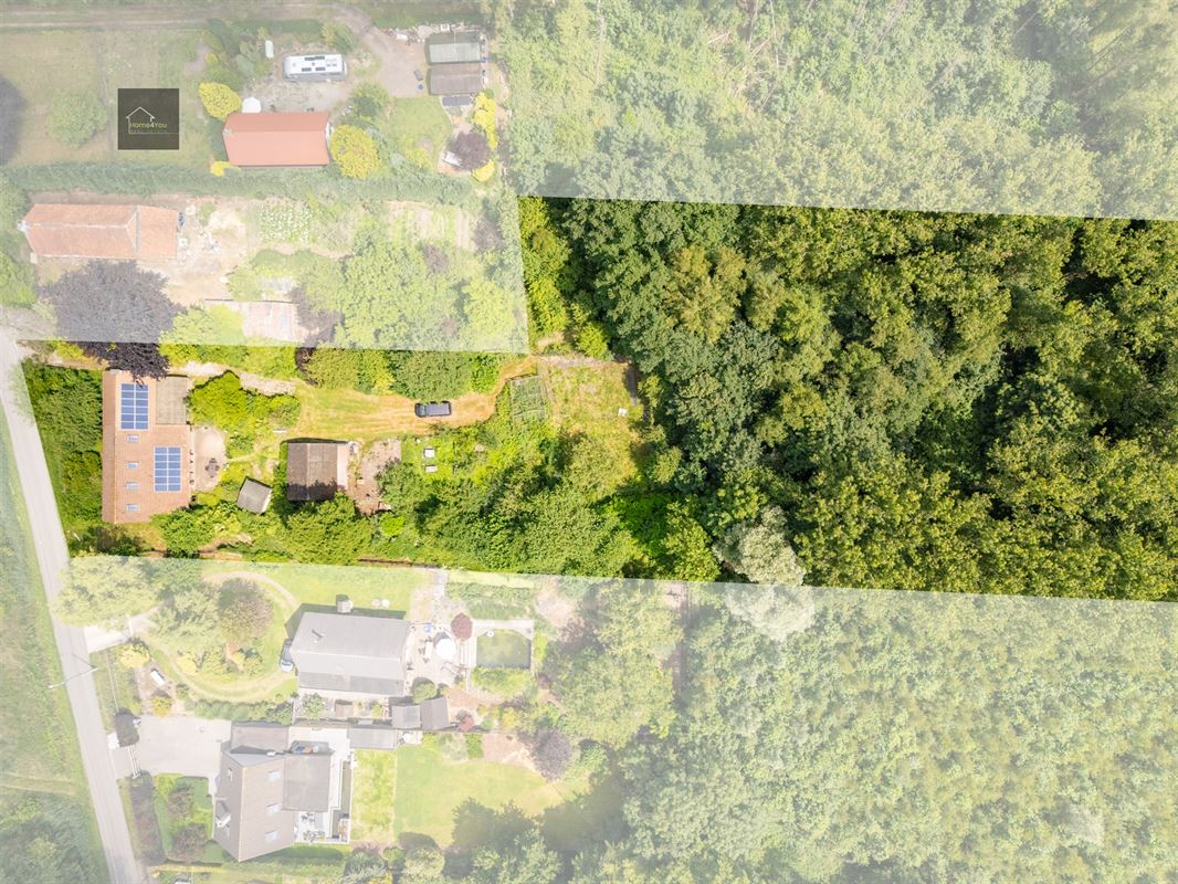Wonen in het hart van de natuur – Alleenstaande villa op 8000 m² bosrijk domein in Stekene