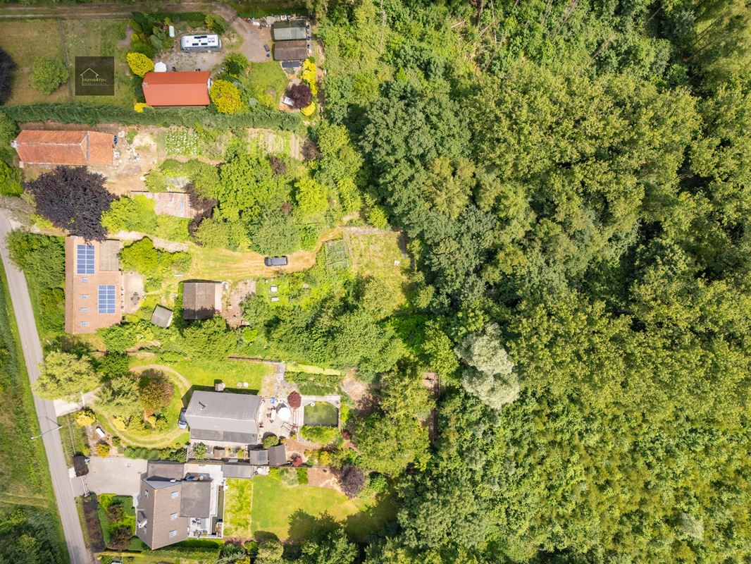 Wonen in het hart van de natuur – Alleenstaande villa op 8000 m² bosrijk domein in Stekene