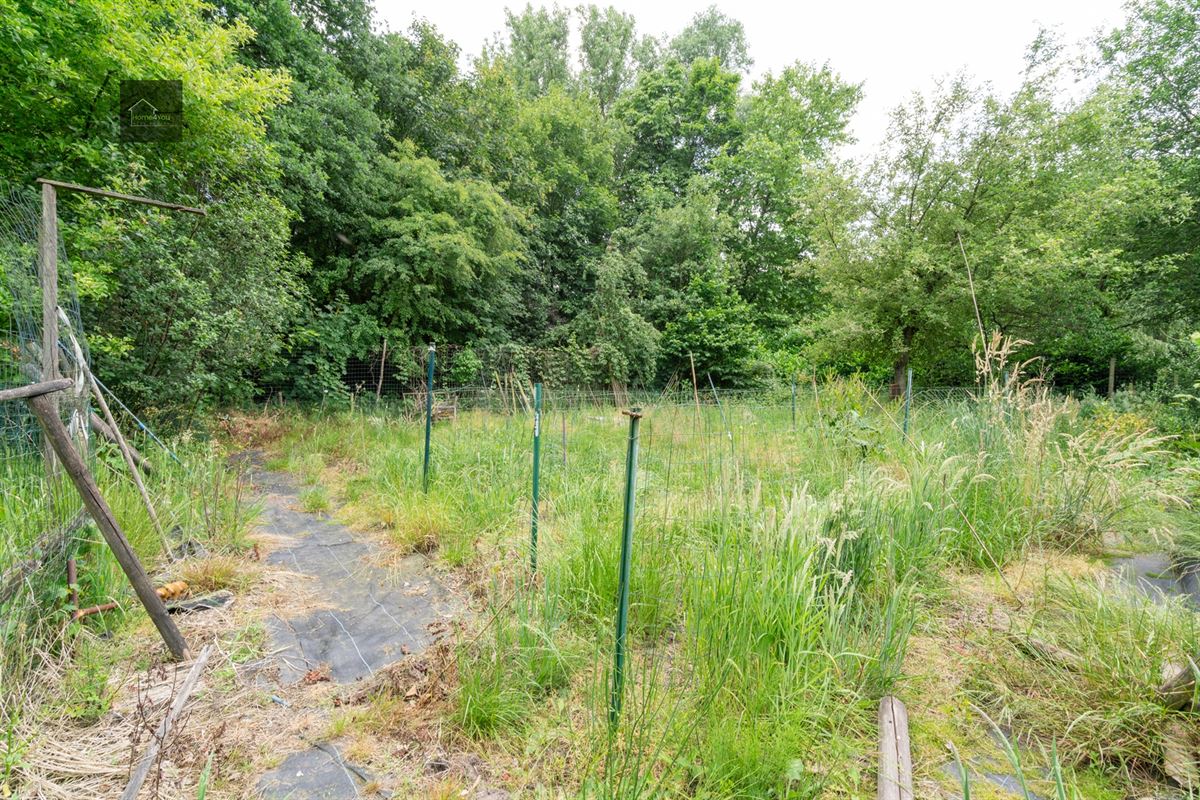 Wonen in het hart van de natuur – Alleenstaande villa op 8000 m² bosrijk domein in Stekene