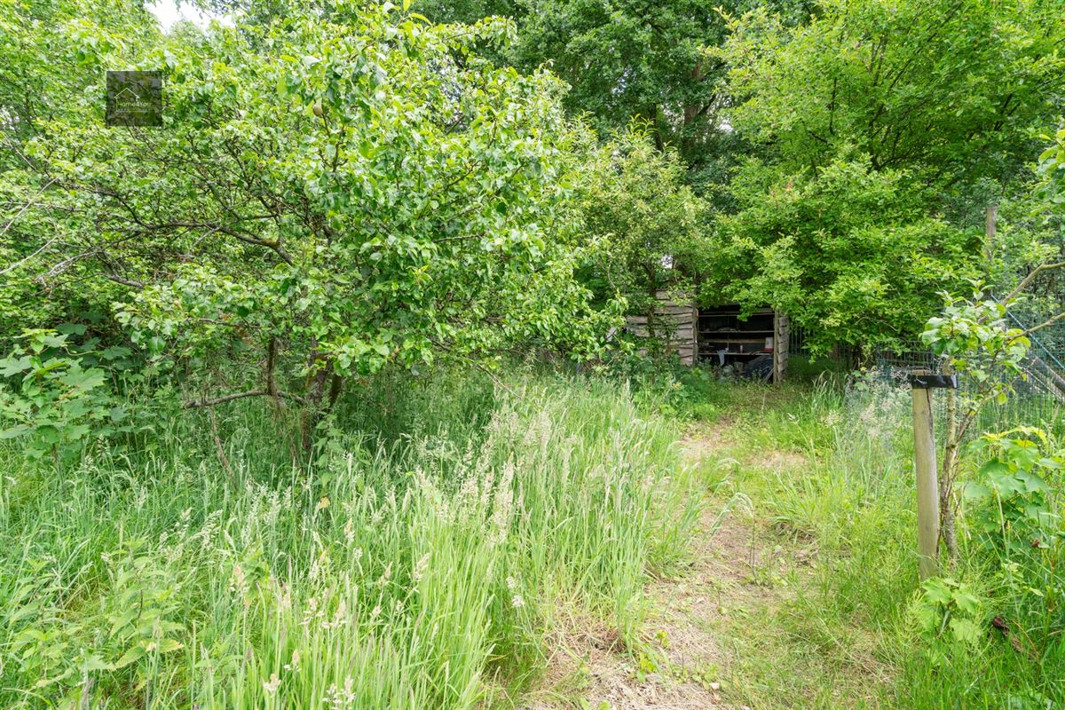Wonen in het hart van de natuur – Alleenstaande villa op 8000 m² bosrijk domein in Stekene