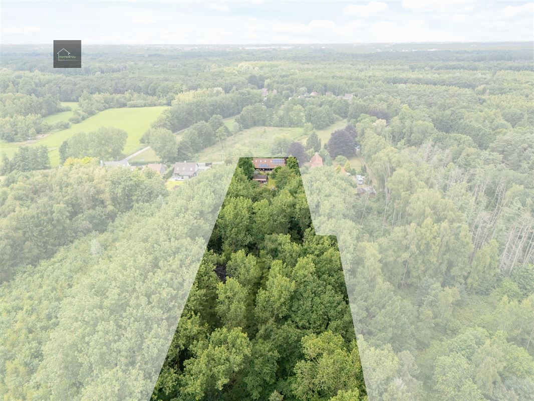 Wonen in het hart van de natuur – Alleenstaande villa op 8000 m² bosrijk domein in Stekene
