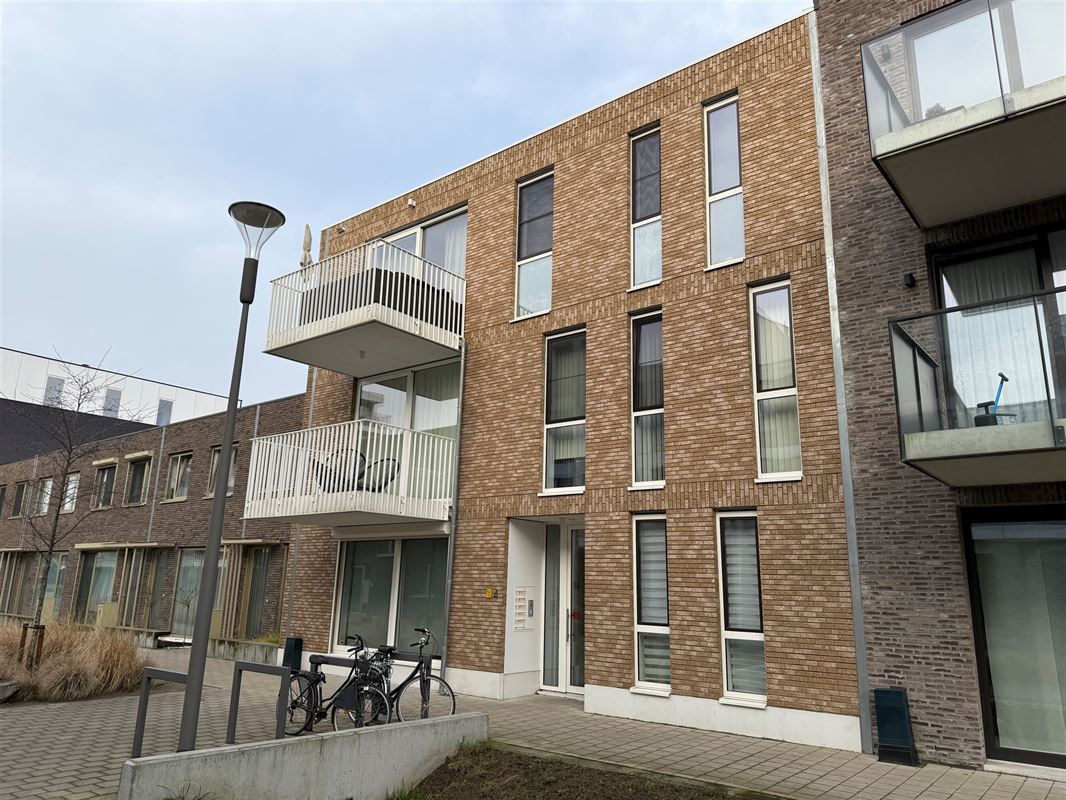 GANZENDRIES 4 / 001 HOBOKEN