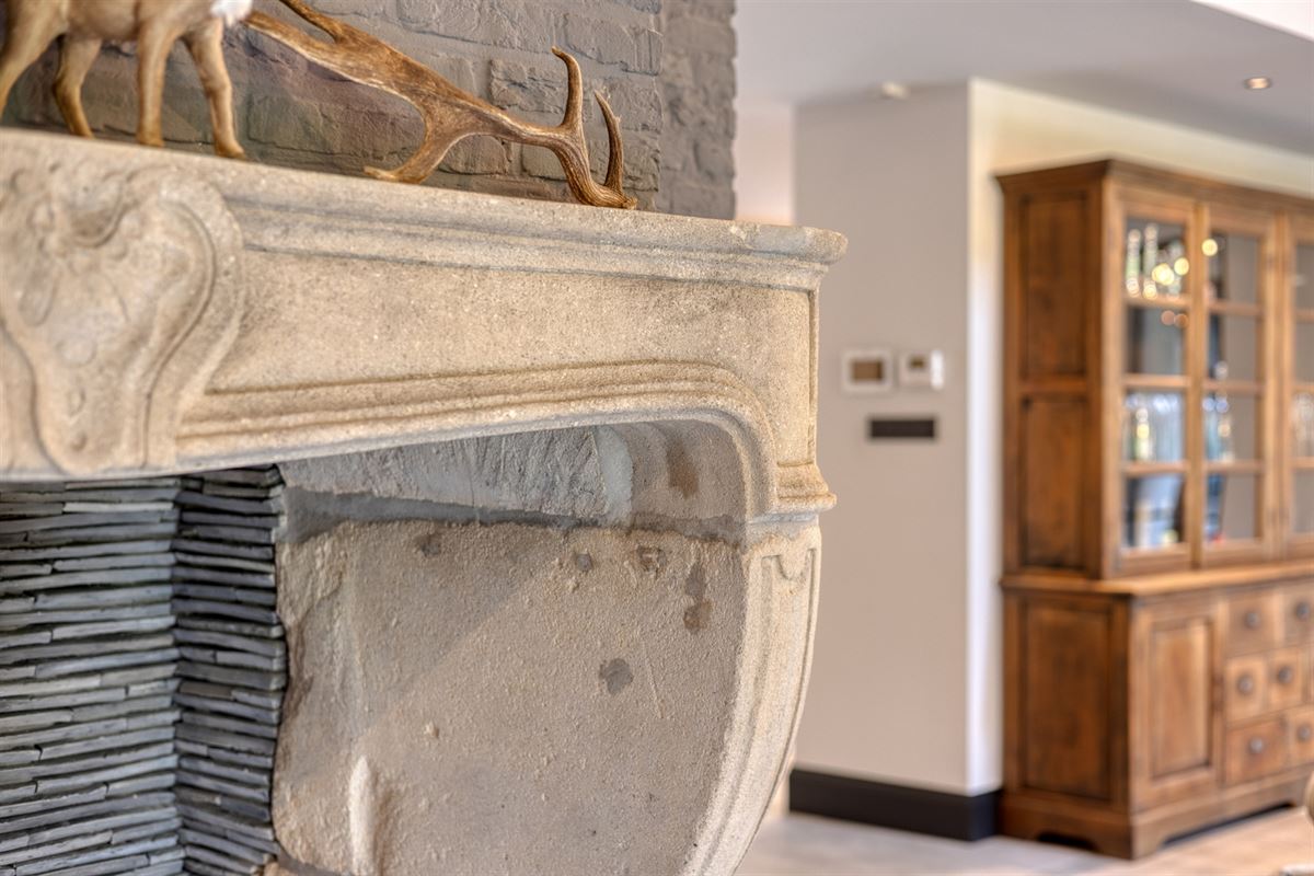 Landelijke luxe: unieke villa op 7.188 m² privé-domein