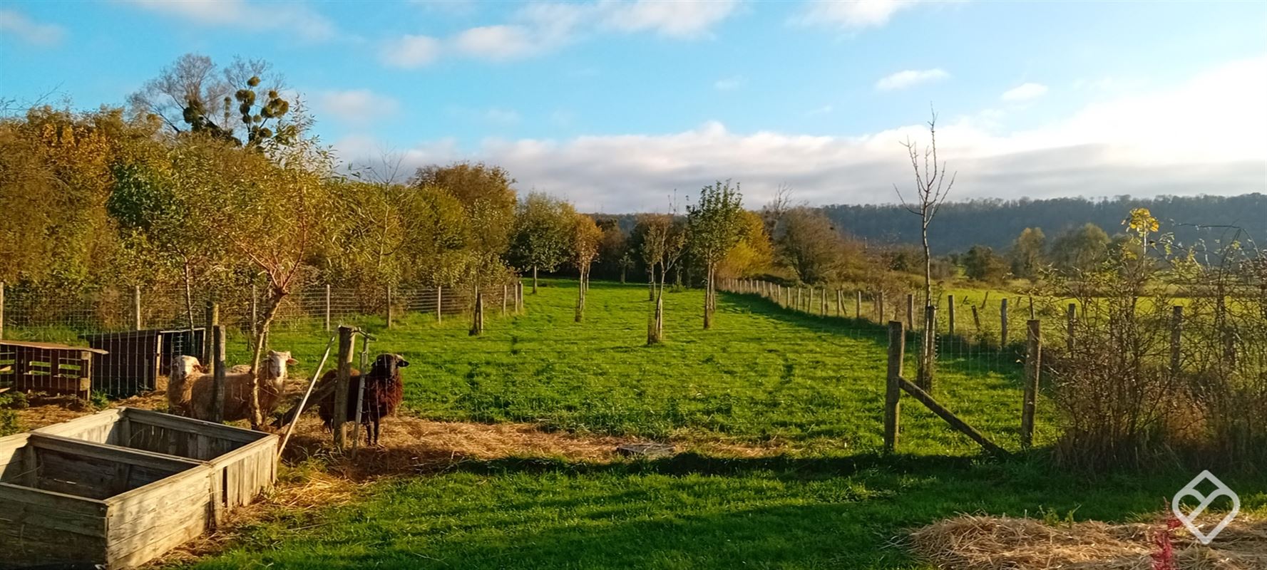 Magnifique terrain avec habitats légers
