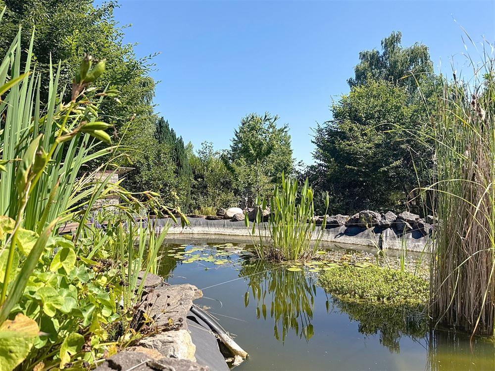 PETIT COIN DE PARADIS PROCHE DES LACS DE L'EAU D'HEURE