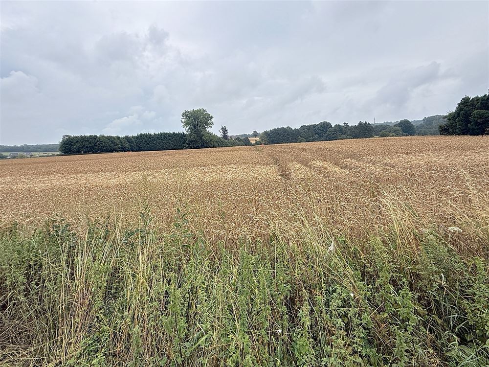 Terrain à bâtir