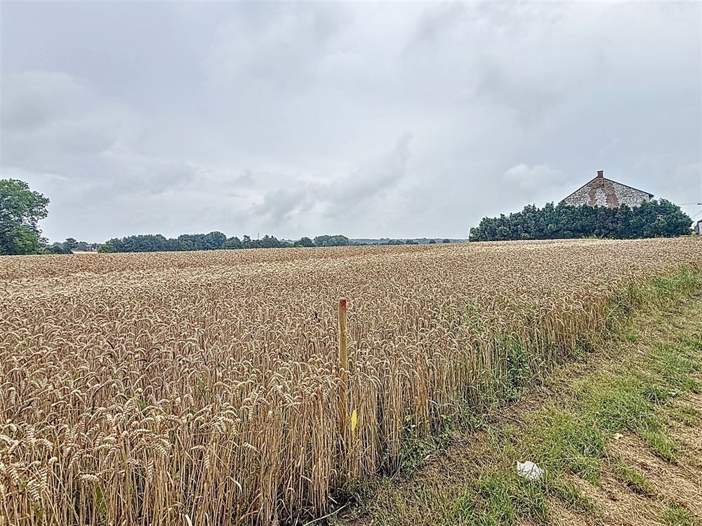 Terrain à bâtir