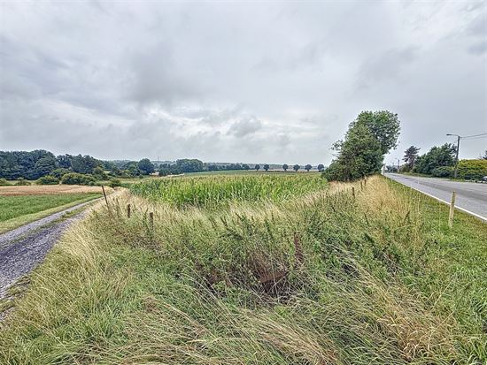 Terrain à bâtir