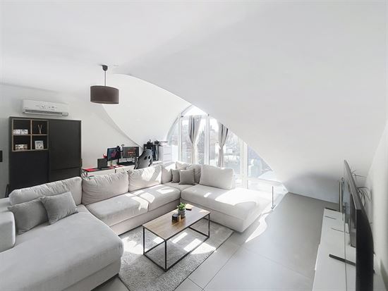 Appartement Lumineux