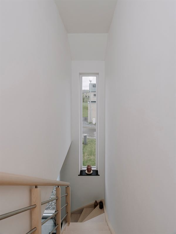 BS25-Whise-9.jpg