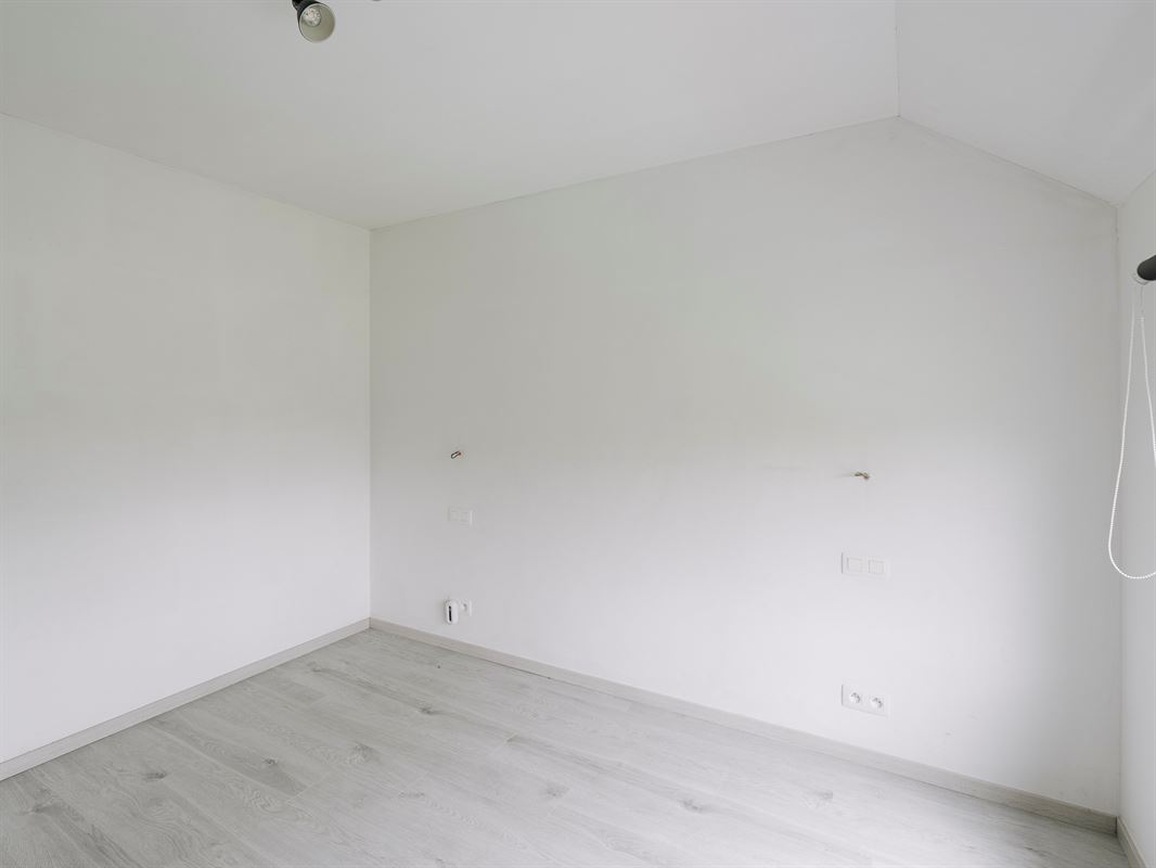 BS25-Whise-2.jpg
