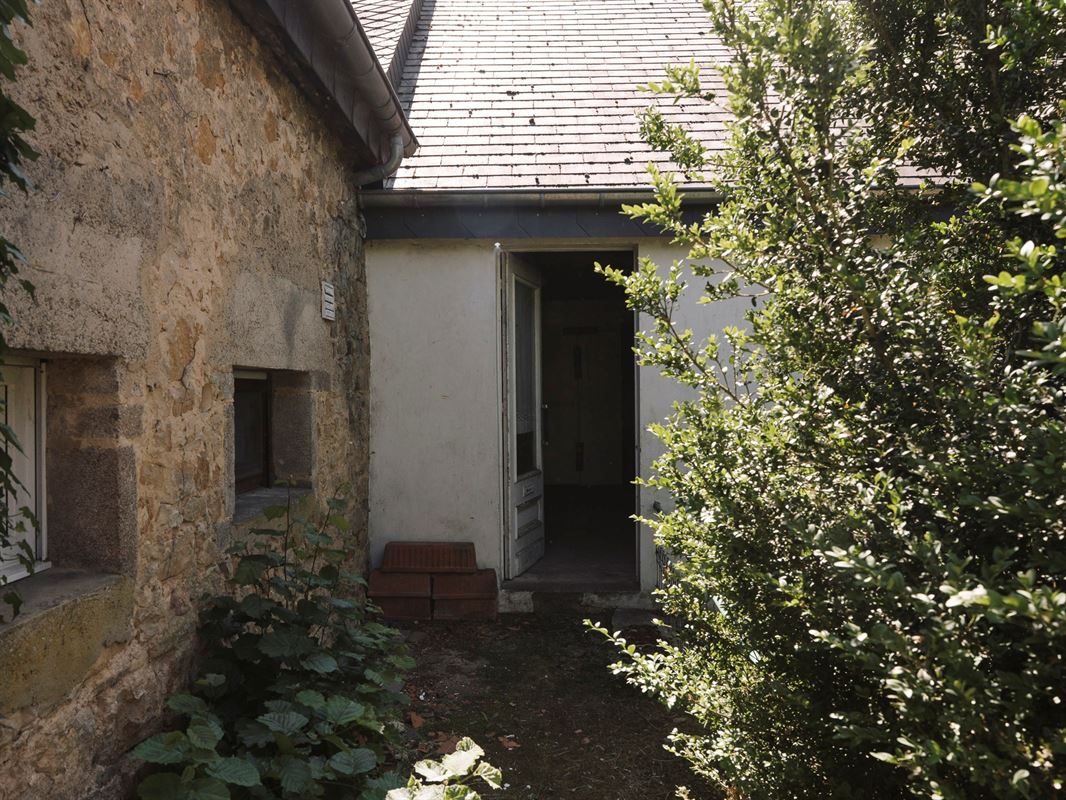 HT5-Whise-27.jpg