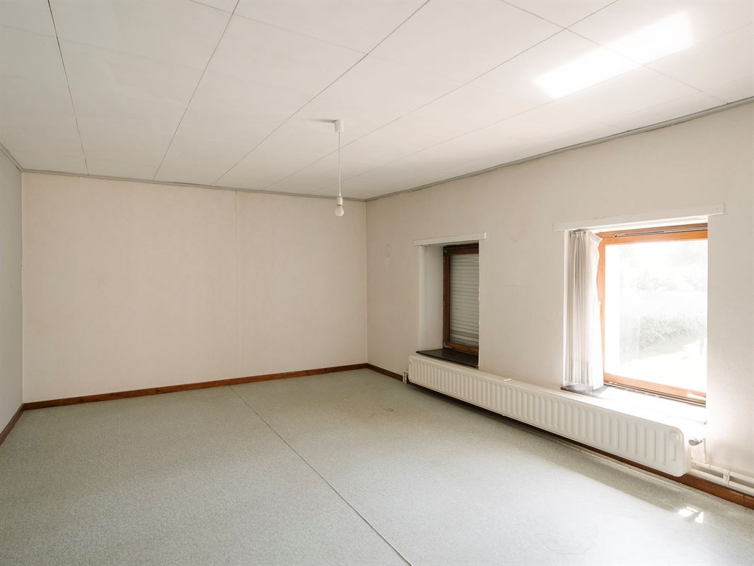 HT5-Whise-1.jpg