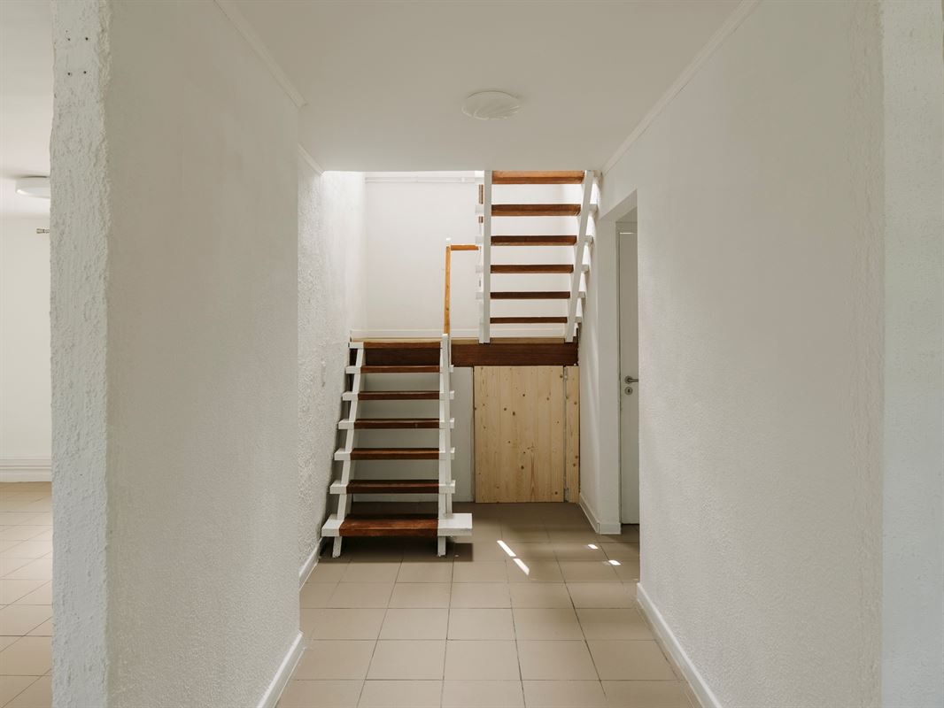 HLNR4AL-Whise-17.jpg