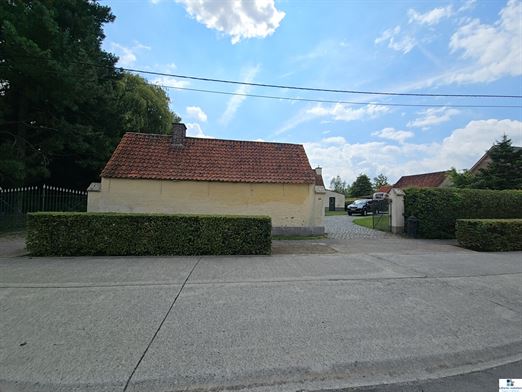 Foto 4 : hoeve te 9750 ZINGEM (België) - Prijs Prijs op aanvraag