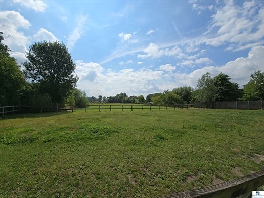 Foto 11 : hoeve te 9750 ZINGEM (België) - Prijs Prijs op aanvraag