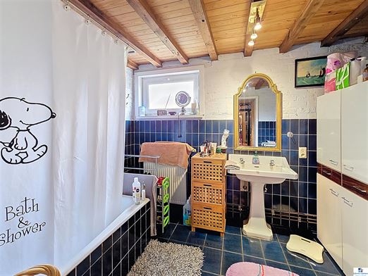 Foto 8 : hoeve te 9750 ZINGEM (België) - Prijs Prijs op aanvraag