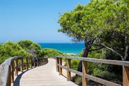 Image 12 : Apartment with garden à 03181 Torrevieja (Espagne) - Prix 280.000 €
