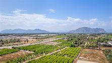Image 18 : Apartment with terrace IN 03310 Jacarilla (Spain) - Price 139.500 €