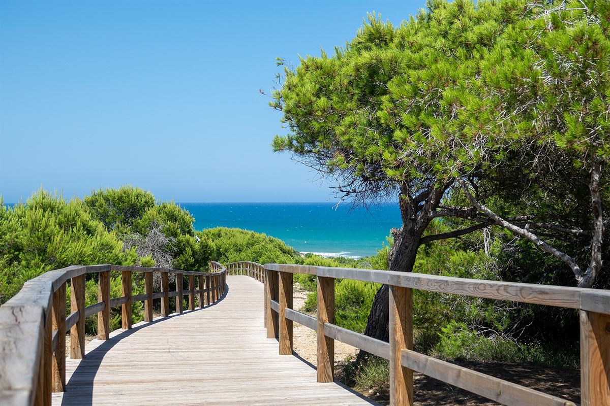 Image 12 : Apartment with garden à 03181 Torrevieja (Espagne) - Prix 280.000 €
