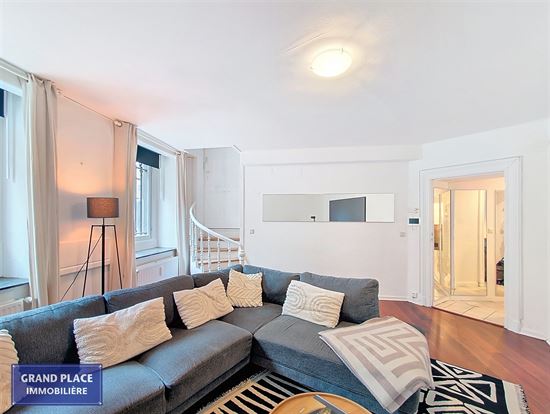 Appartement souplex meublé 2 ch remis à neuf