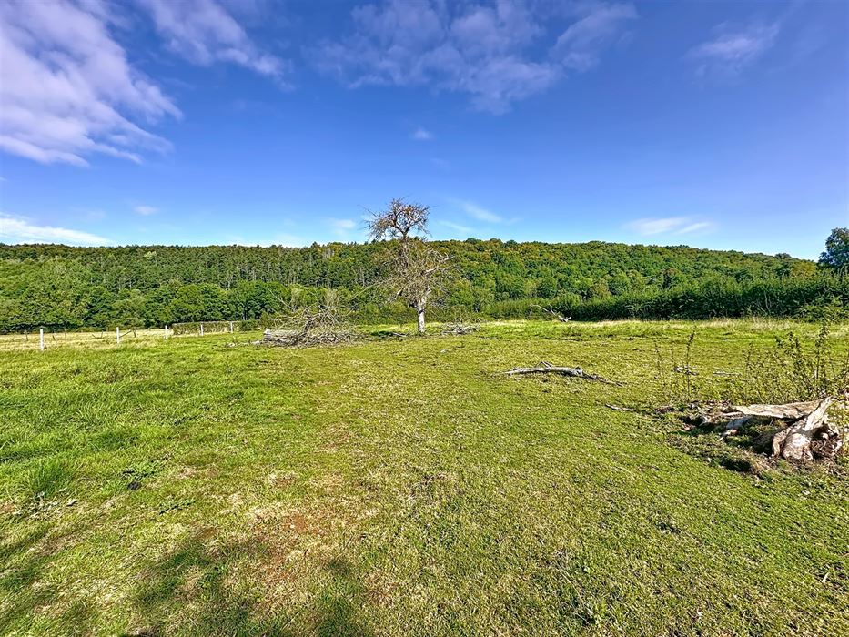 Terrain
