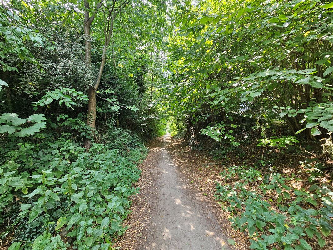 Image 15 : Villa IN 3080 TERVUEREN (Belgium) - Price 2.500 €