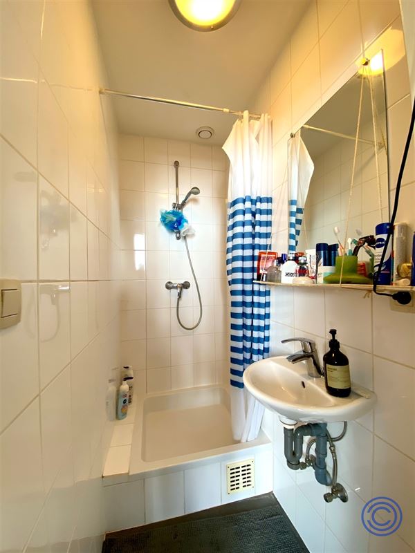 Gezellig appartement in hartje Antwerpen!